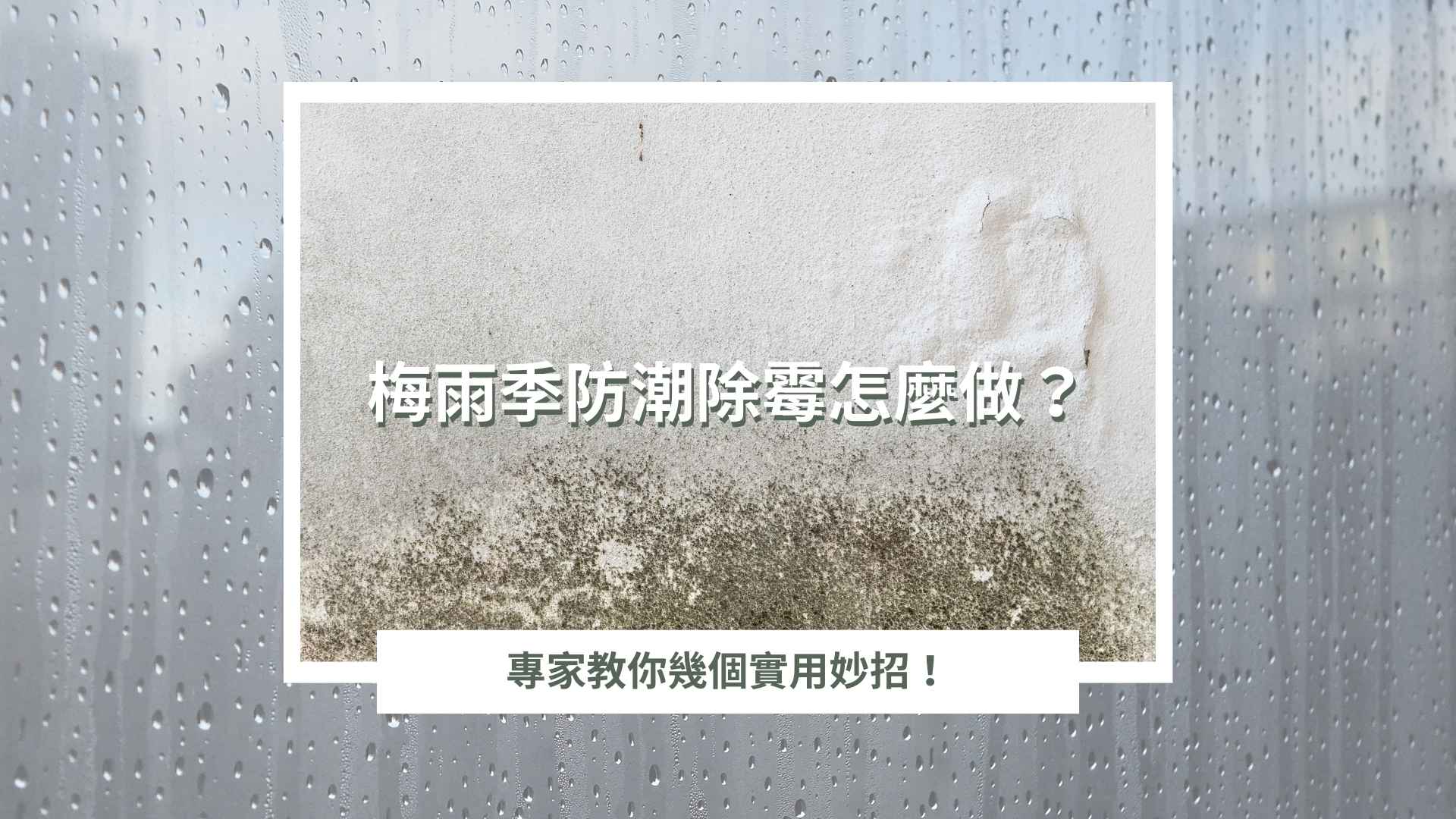梅雨季防潮除霉怎麼做？專家教你幾個實用妙招！